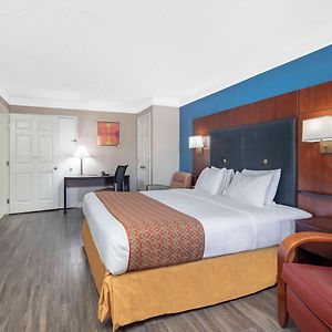 King Room Disability Access or Non-Smoking